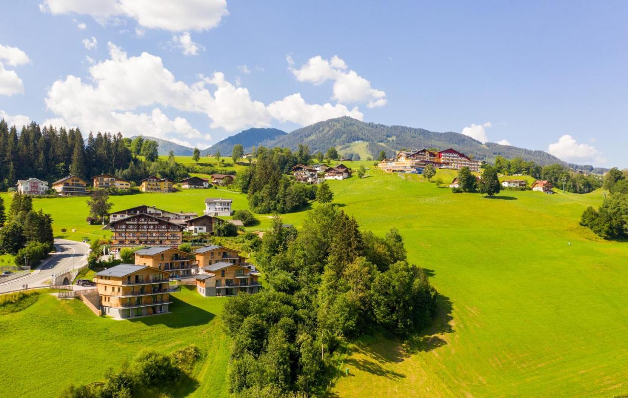 Panorama Lodge Premium Apartments Schladming Kültér fotó