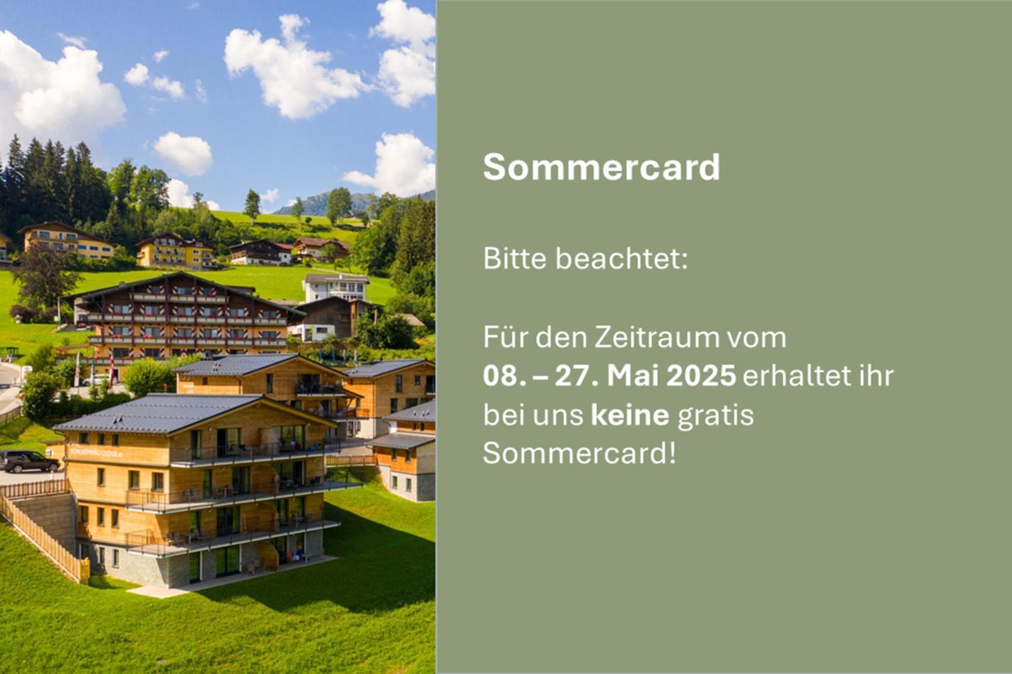 Panorama Lodge Premium Apartments Schladming Kültér fotó
