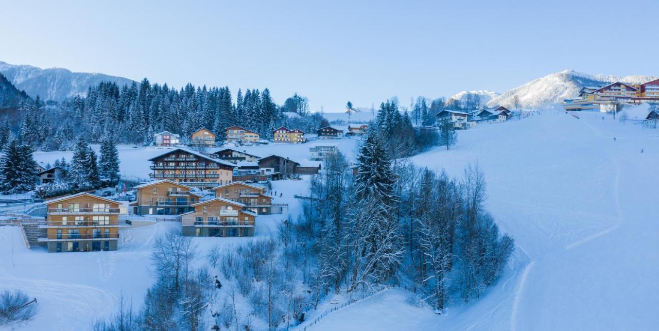 Panorama Lodge Premium Apartments Schladming Kültér fotó